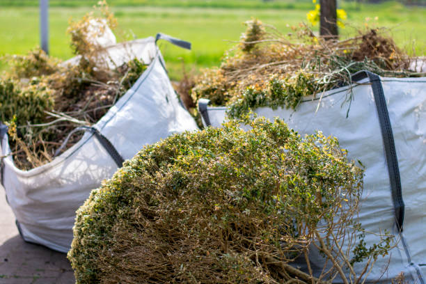 Best Appliance Removal  in Sherman, TX